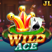 Wild Ace hann casino slot